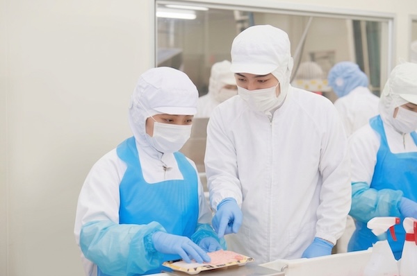 【1DAY仕事体験】世界を舞台に仕掛ける！焼津のマグロ職人&最新工場ツアー